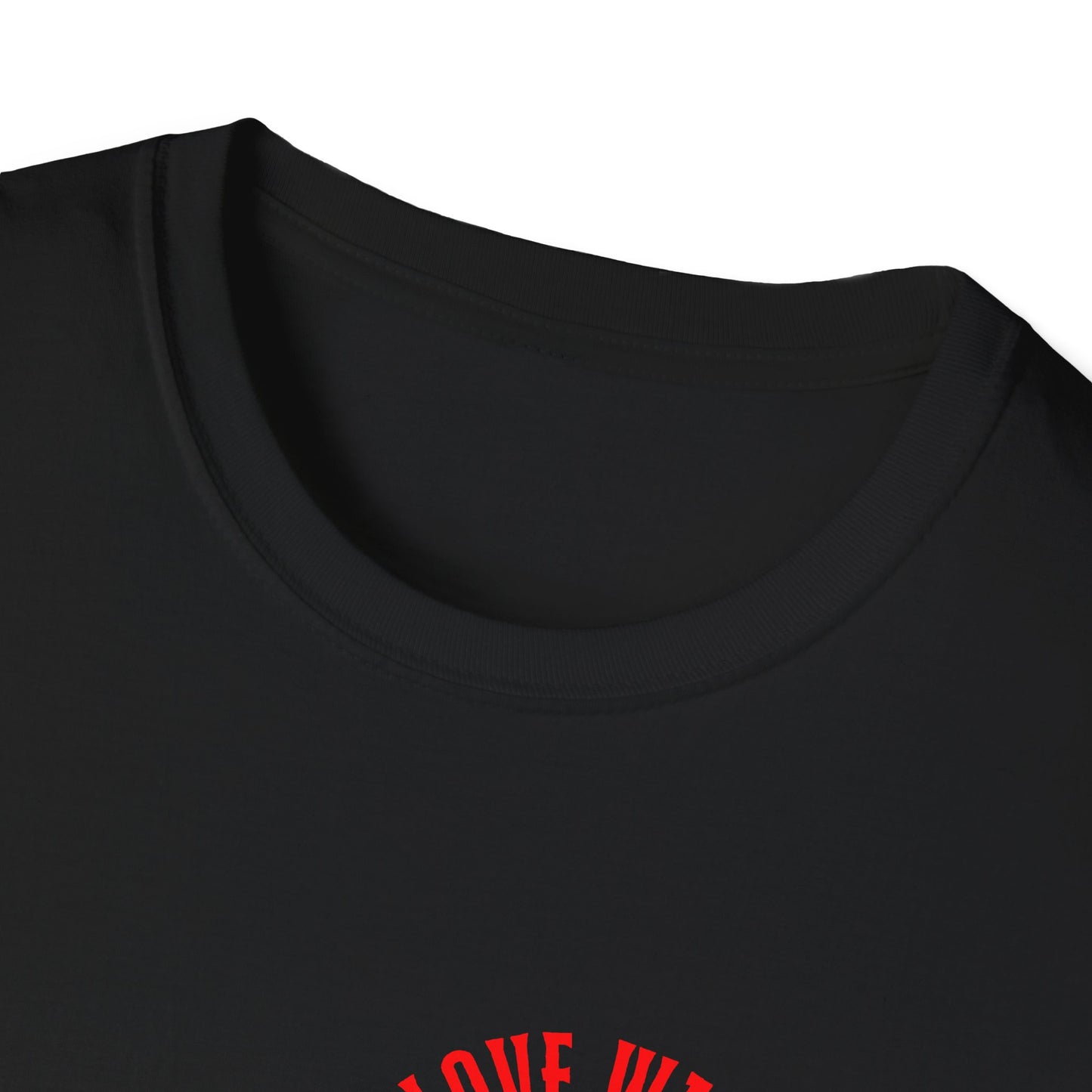 Love Wins Not Fail Unisex Softstyle T-Shirt